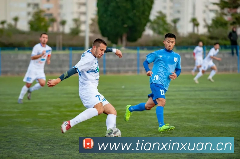 一站式观看NBA全场回放:权威平台汇总国语解说赛事录像